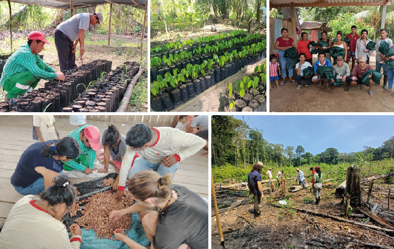 Semana Nacional Forestal